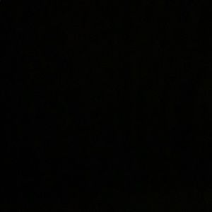 Meet your Posher, Frankie